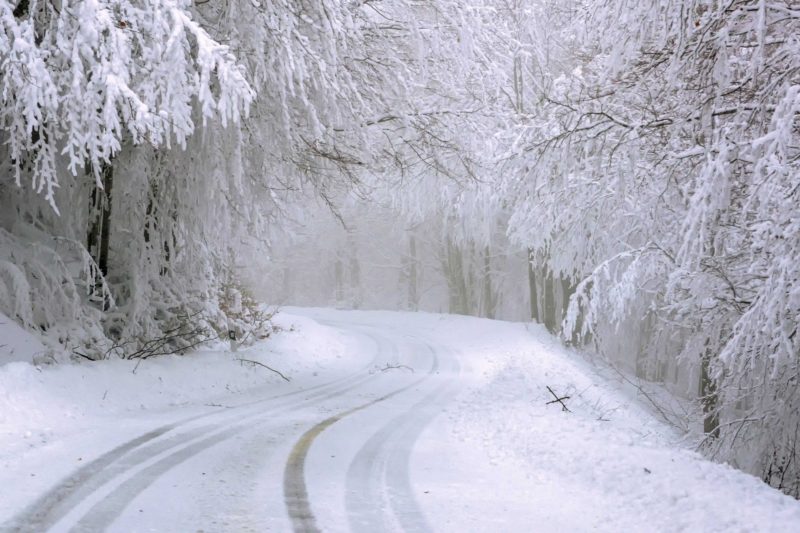 道路も全部雪景色
