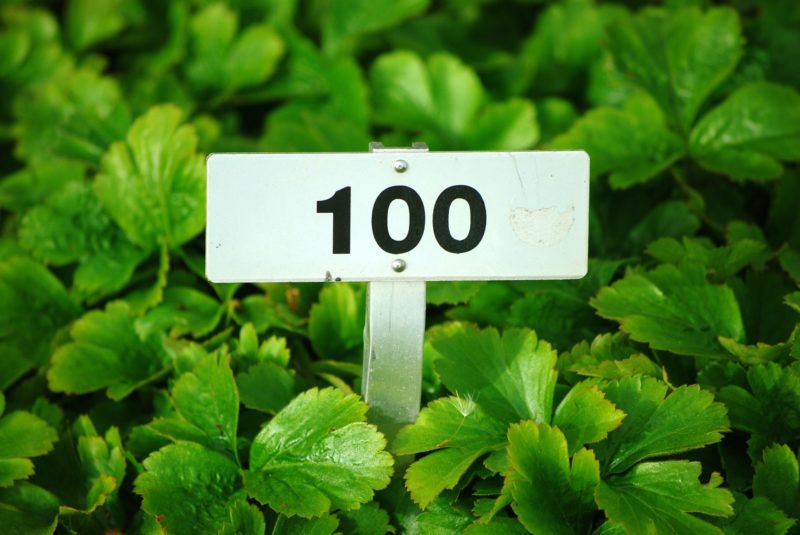 100